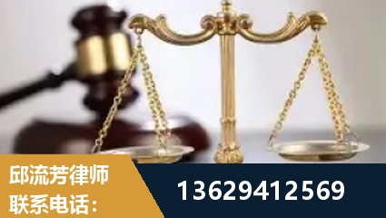 新民-疑难刑事案件处理