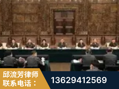 新民-疑难刑事案件处理