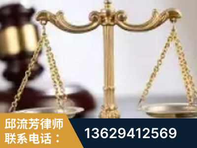 新民-委托诉讼代理人出庭